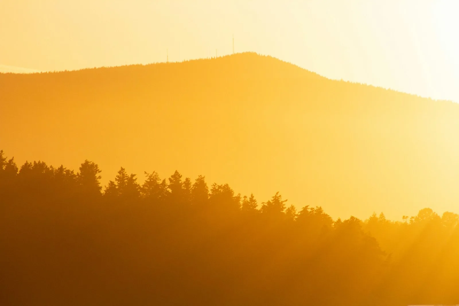 Beat the Heat: A Homeowner's Guide to Keeping Your AC System Running Strong
